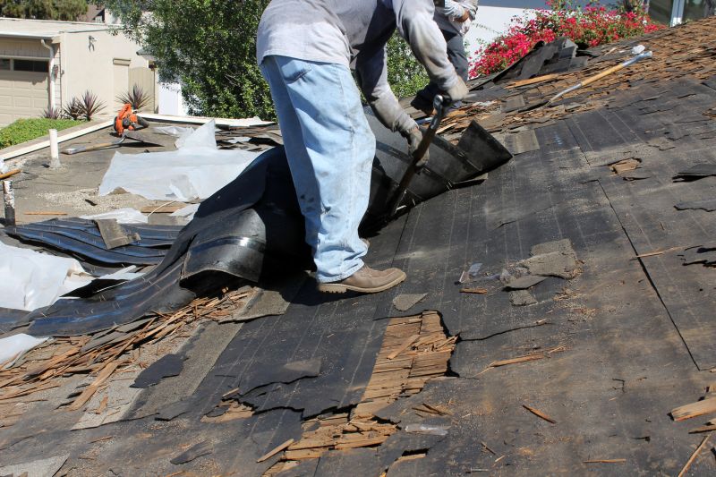 Shingle Repair Process
